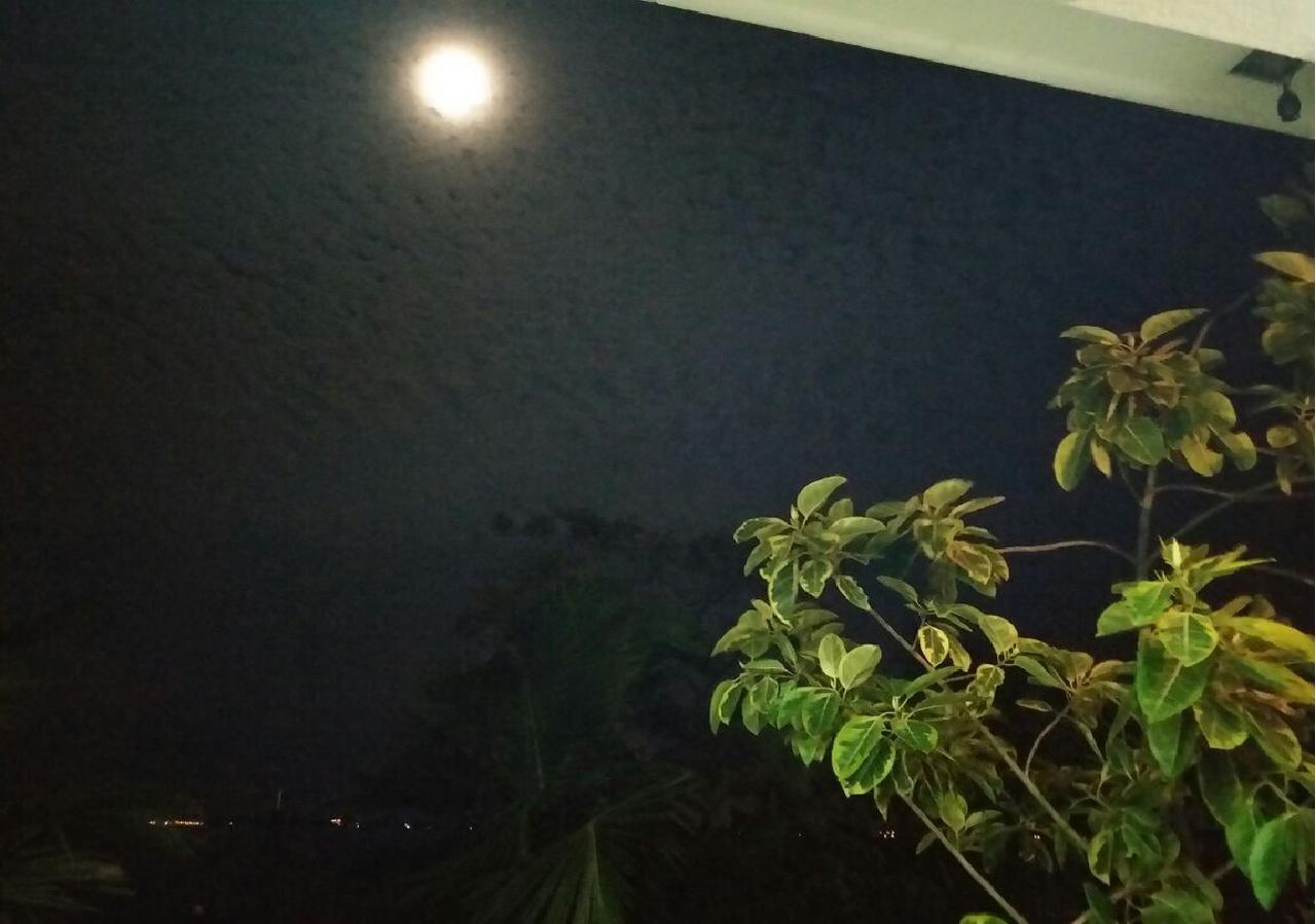 Negombo Holiday Home Luaran gambar